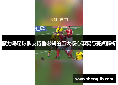 魔力鸟足球队支持者必知的五大核心事实与亮点解析 魔力鸟足球队支持者必知的五大核心事实与亮点解析